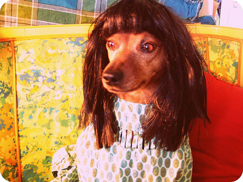 cleopatra's nose.jpg