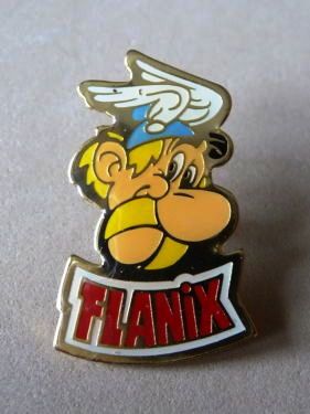 Flanix-Pin.jpg